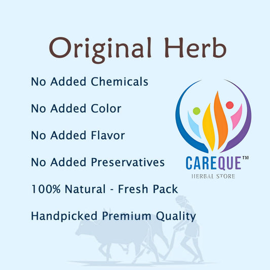 Cramp Bark Extract Powder–Nature’s Solution for Muscle Relaxation