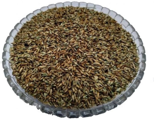 Apamarg Seeds-अपामार्ग बीज-Uttareni Seeds-Latjira Beej-Edible Chirchita-Latjeera-Achyranthes-Aspera-Raw Herbs-Jadi Booti