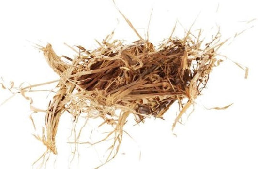 Asgar Ghas-Asgar Grass-असगर घास-Raw herbs-Doob Grass-Conch Srass-Jadi Booti