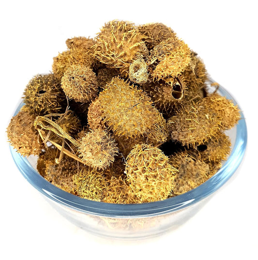 Bindaal Doda-Devdali-बिंदाल डोडा-Bandal Phal-Luffa Echinata dried-Raw Herbs-Jadi Booti