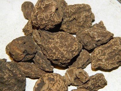 High John Conqueror Root | High John Incense | Jalapa Root | Lucky Charm Herb for Strength, Success & Positive Energy | Spiritual & Ritual Use