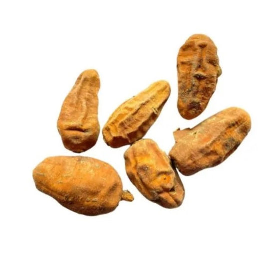 Hingot-Simple Throned-हिंगोट-Desert Date-Heglig-Ingudi-Balanites Roxburghi-Raw Herbs-Jadi Booti-Single Herbs