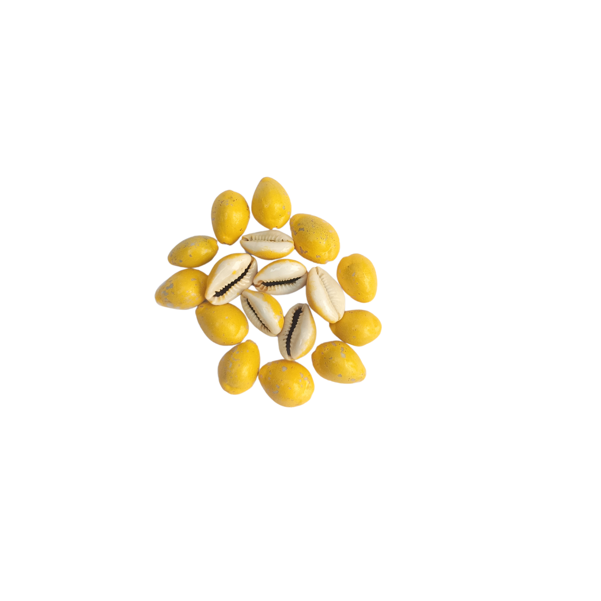 Yellow Polish Kaudi-for Puja and Decoration-पीली पॉलिश कौड़ी शैल-Pili Polish Kodi Shells-Kowdi-Kodi Yellow Stone-For Diwali Pooja & Laxmi Pujan- Kawdi 1Kg.