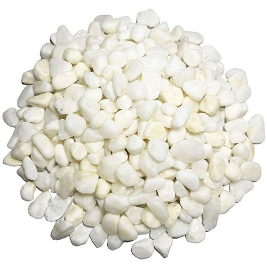 Sange Sarmahi-Sang-e-sarmahi-Sang Sar Mahi-Hajr-al-sarmahi-Fish Stone-Raw Herbs-Jadi Booti