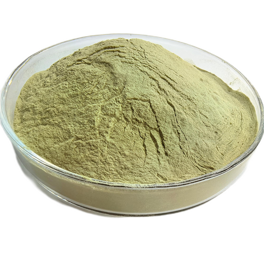 Shalparni Powder -Shalaparni -Desmodium Gangeticum-Raw Herbs-Jadi Booti