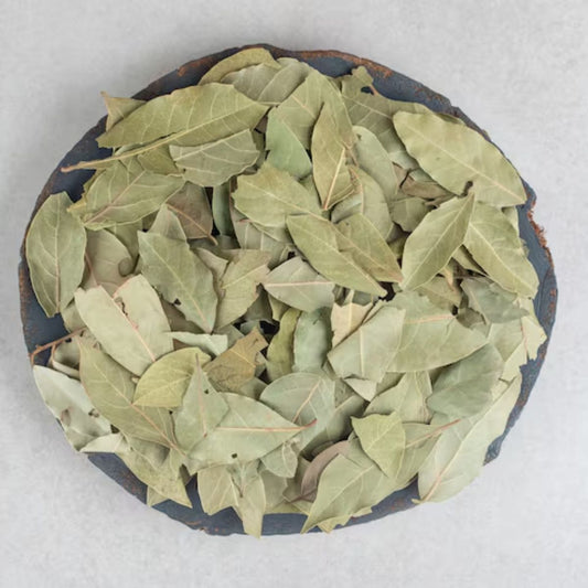 Alfalfa Seed-Medicago sativa-Semi di erba medica-Semi di erba medica-Kuthirai Masal-Lucerne Ginjalu-Ashvabala