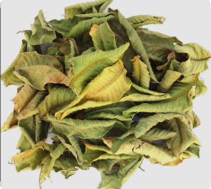 Guava Leaves Dried Whole | Psidium Guajava | Amrood (Amrud) Leaves