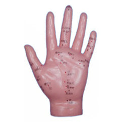 Acupuncture Model Hand-Code 1103-Easy to Use