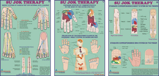 Acupressure Sujok Therapy Chart-Set of 3 20x30 AC-1612