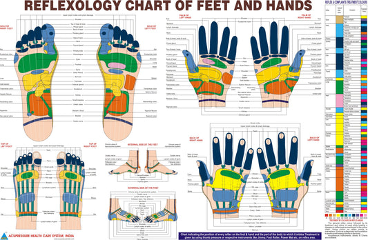 Reflexology Chart English for Feet & Hand-Code 1615-Size 11X18-रिफ्लेक्सोलॉजी चार्ट-Acupressure-Easy to Use-Activate Acupressure Points