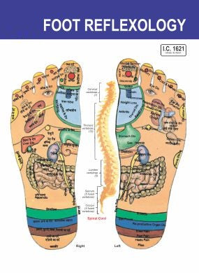 Acupressure Reflexology - V.Card - Foot (100pc) फुट रिफ्लेक्सोलॉजी AC-1621