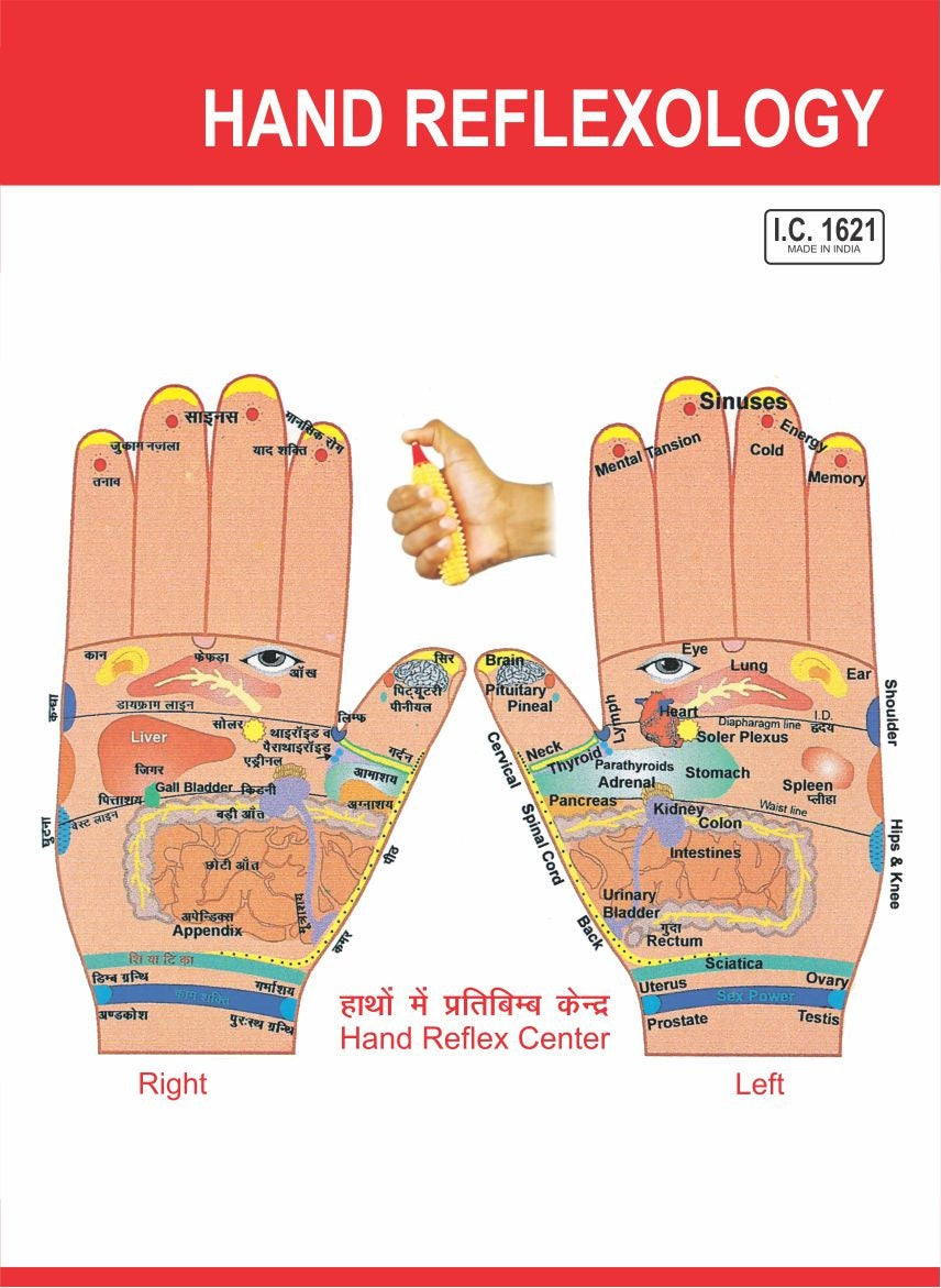 Acupressure Reflexology-V.Card-Hand (100pc)-रिफ्लेक्सोलॉजी-वी.कार्ड-Code 1621A