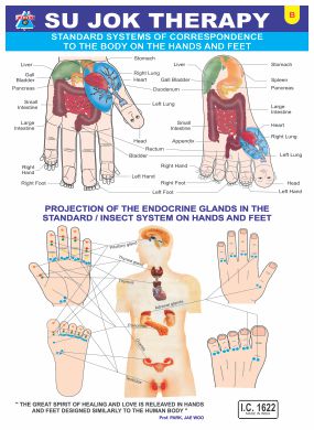 Acupressure Sujok Chart-Visiting Card B (100 Pc.)-सुजोक कार्ड-Code 1622B-Standard System of Correspondence to The Body on The Hands and Feet