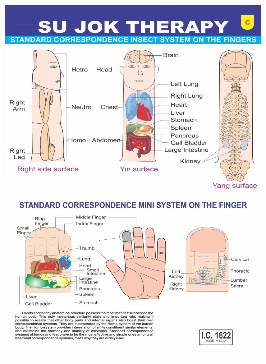 Acupressure Sujok Chart-Visiting Card C (100 Pc.)-सुजोक कार्ड-Code 1622C-Finger on Standard Correspondence Insect System