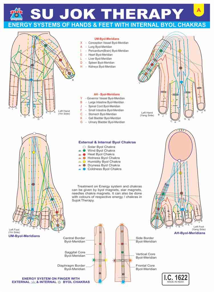 Acupressure Sujok Chart-Visiting Card (100 Pc.)-सुजोक कार्ड-Code 1622-Hand and Foot Energy System with Internet Byl Chakras