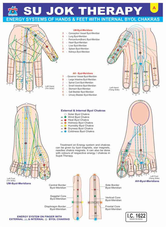 Acupressure Sujok Chart-Visiting Card (100 Pc.)-सुजोक कार्ड-Code 1622-Hand and Foot Energy System with Internet Byl Chakras