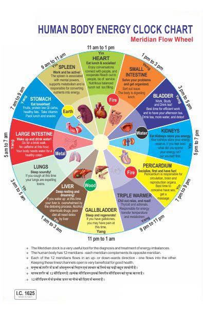 Acupressure Human Body Energy Clock Chart AC-1625