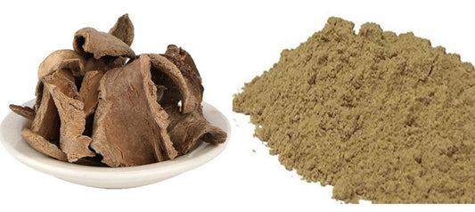 Bharang Chaal Powder-Clerodendrum Serratum-भारंग मूल पाउडर-Bharangi Powder-Serrate glory bower-Bharang Baranghi-Bhadangi Powder-Raw Herbs-Jadi Booti