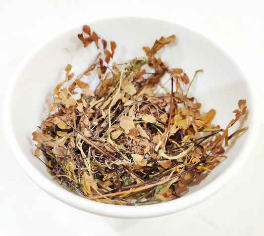 Hansraj-हंसराज-Pershosha-Adiantum Capillus Veneris-Raw Herbs-Jadi Booti