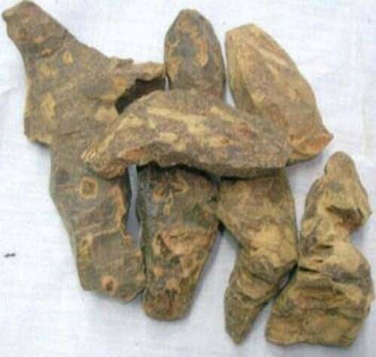 Chobchini-Chopchini-China Root dried-चौबचीनी-Smilax Glabra-Jadi Booti-Raw Herbs