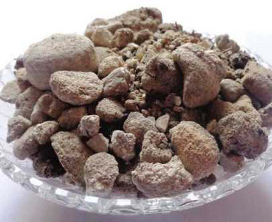 Banslochan Asli-Tabasheer-बंसलोचन असली-Bambusa Vulgaris dried-Bamboo Camphor Raw Herbs-jadi Boti 