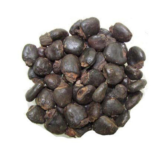 Semi di Bhilawa - Semecarpus Anacardium - भिलावा बीज - Noce da marcatura - Bilava Beej - Bhilava - Bilawa - Godambi - Bibba