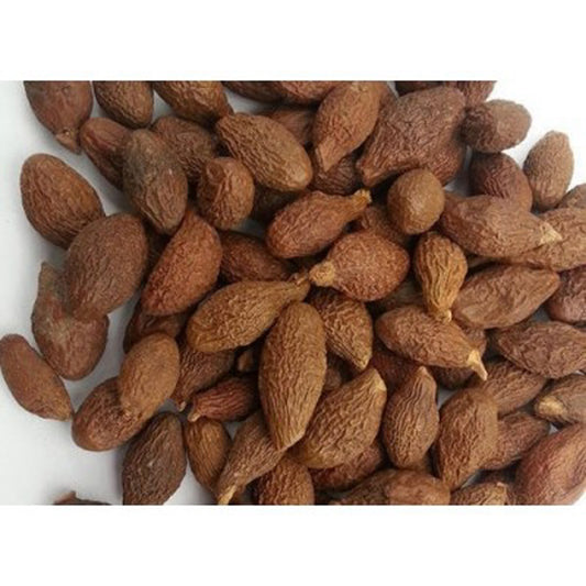Niranjan Phal-Niranjan Fal-Raw Herbs-निरंजन फल-Malva Nuts Dried-Sterculia Lychnophora-Jadi Booti