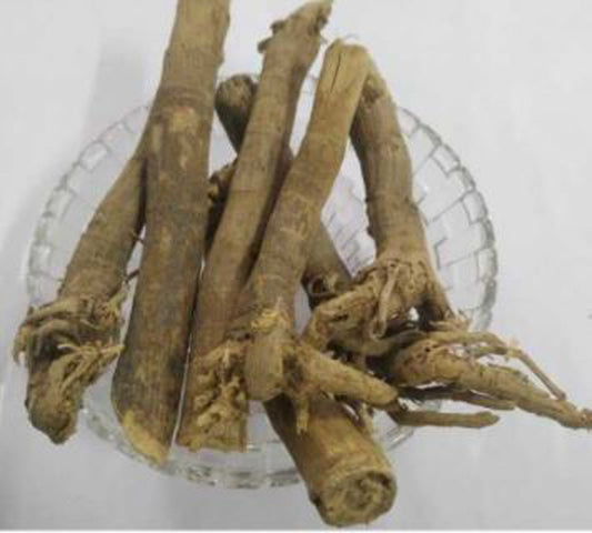 Saunf Jadd-Fennel Dried-सौंफ की जड़-Root-Foeniculum Vulgare-Raw Herbs-Jadi Booti