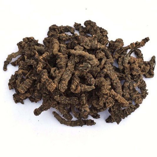 Sugandh Bala-Tagar Root-सुगंधबाला-Dried Mushk Bala-Valerian Root-Valeriana Wallichi