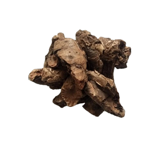 Pashan bhed Root-Patharchatta Root-पशन भेड-पत्थरचट्टा जड़-Pakhanved Jadd-Aquatic Rotula-Bergenia ligulata-Raw Herbs-Jadi Booti Dried