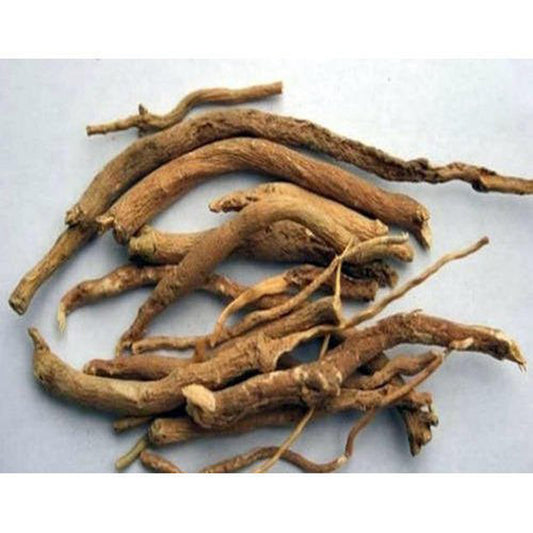 Punarnava Roots-Sathi Jadd-Raw Herbs-पुनर्नवा जड़ें-Boerhavia Diffusa-Jadi Booti