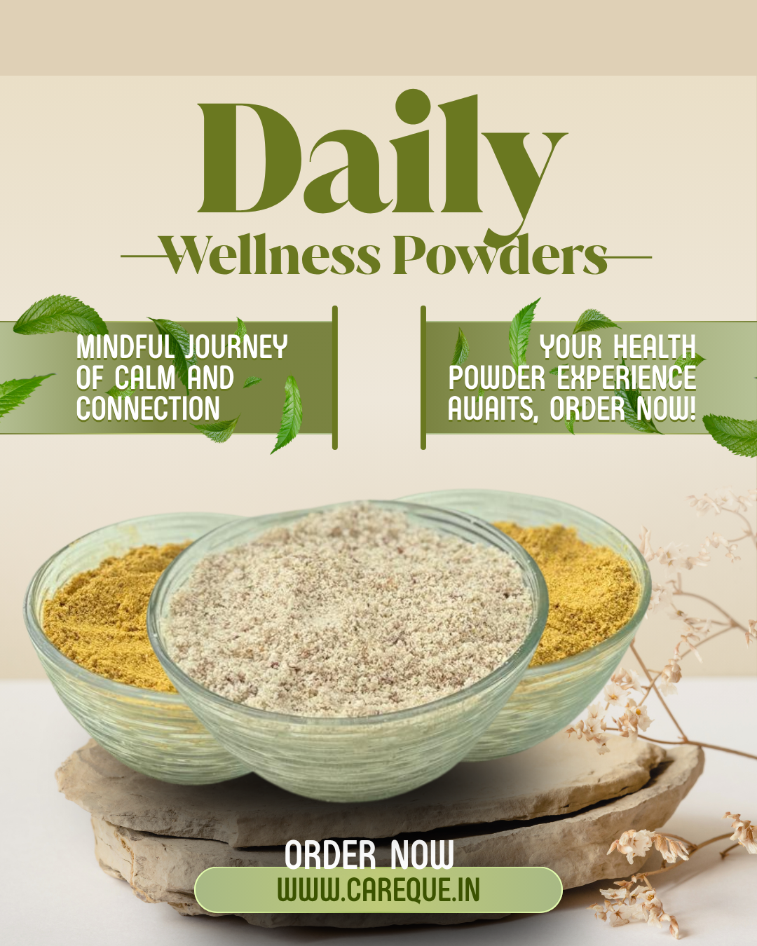 Daily Wellness Powders (Homemade)