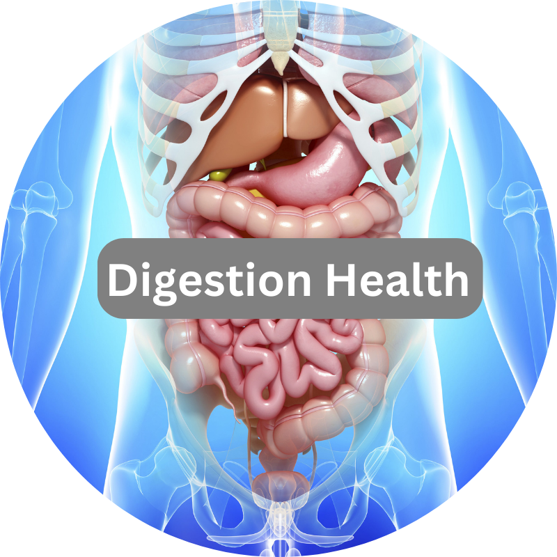 Digestive Health