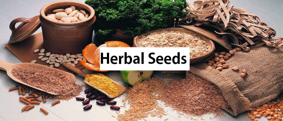 Herbs Seeds