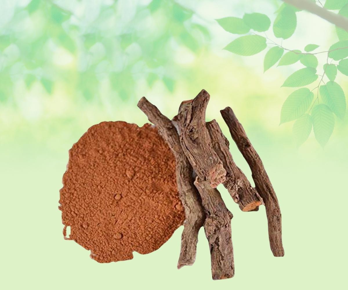 Majith Root Powder-Rubia Cordifolia Powder-Manjistha Root Powder-Majeeth Powder Raw Herbs Quality Products at Unbeatable Wholesale Rate Price Bulk Purchase