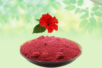 Gudhal Phool Powder-Hibiscus Flower Powder-Gudhal Flower Powder-Hibiscus Rosa Powder Raw Herbs Quality Products at Unbeatable Wholesale Rate Price Bulk Purchase