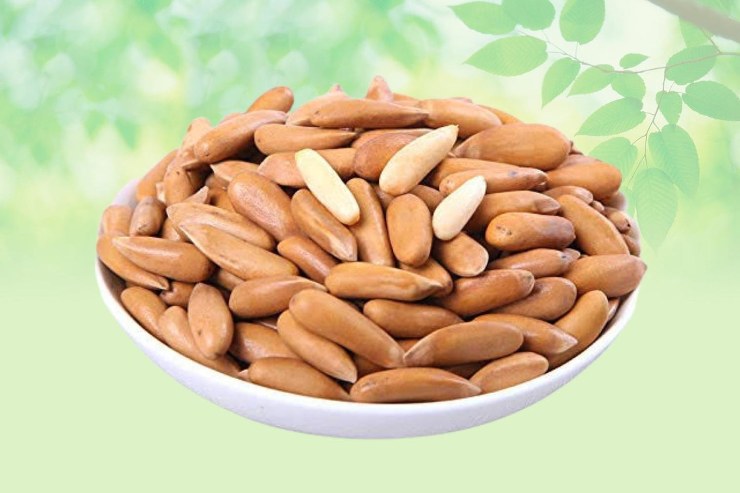 Chilgoza Pine-Pine Nuts With Shell-Chilgoja Dry Fruits Pine Nut-Exquisite and Delighted Dry Fruits