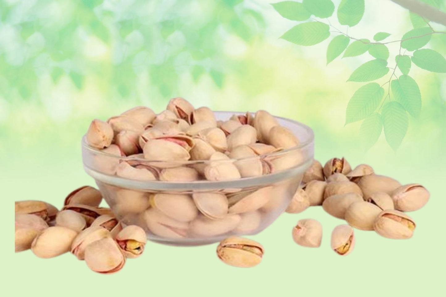 Pista Irani With Shell-Pistachio Nuts-पिस्ता-Pishta-Salted Pistachio-Exquisite and Delighted Dry Fruits