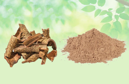 Ashoka Chaal Powder-Saraca Indica-Ashokadamara Powder-Ashok Bark Powder Raw Herbs Quality Products at Unbeatable Wholesale Rate Price Bulk Purchase