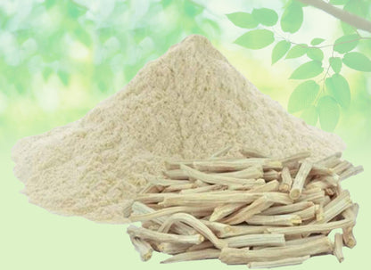 Shatavari Root White Powder-Sitawar Safed Powder-Asparagus Racemosus-Satamuli-Raw Herbs Quality Products at Unbeatable Wholesale Rate Price Bulk Purchase