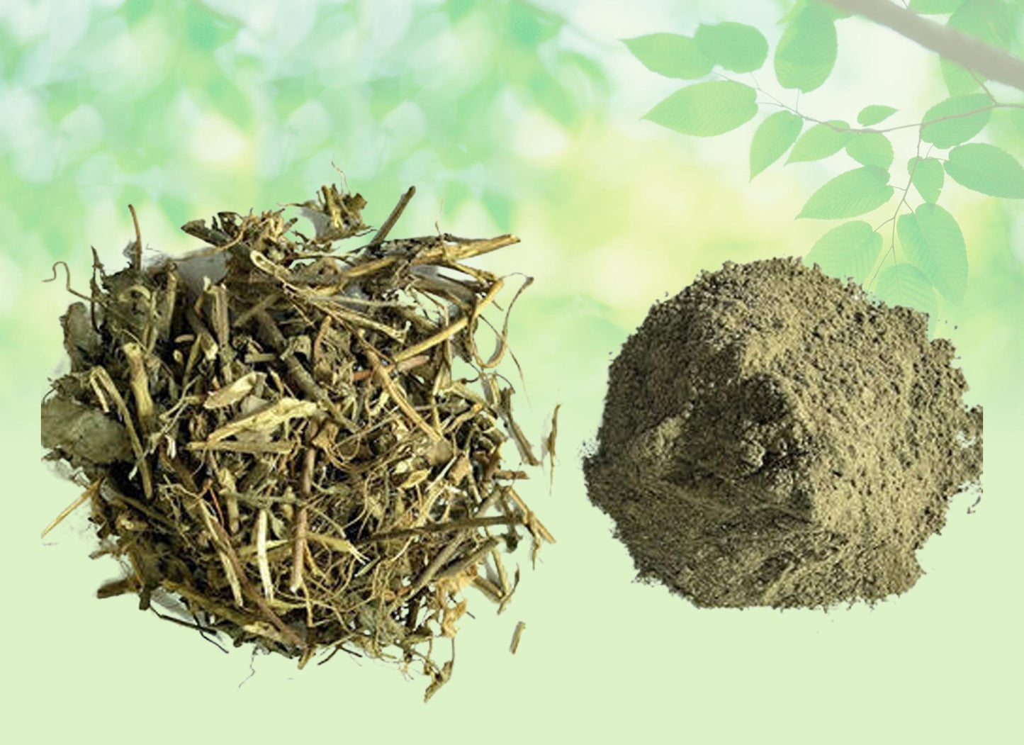 Bhringraj Leaves Powder-Eclipta-Alba -Bhringraj Patta Powder-Bhangra Raiya Powder Raw Herbs Quality Products at Unbeatable Wholesale Rate Price Bulk Purchase