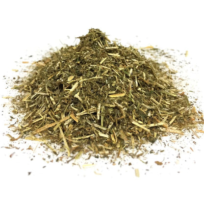 Graine de Luzerne cultivée-Medicago sativa-अल्फाल्फा बीज-Hedge Lucerne Seeds -Kuthirai Masal-Lucerne Ginjalu-Ashvabala