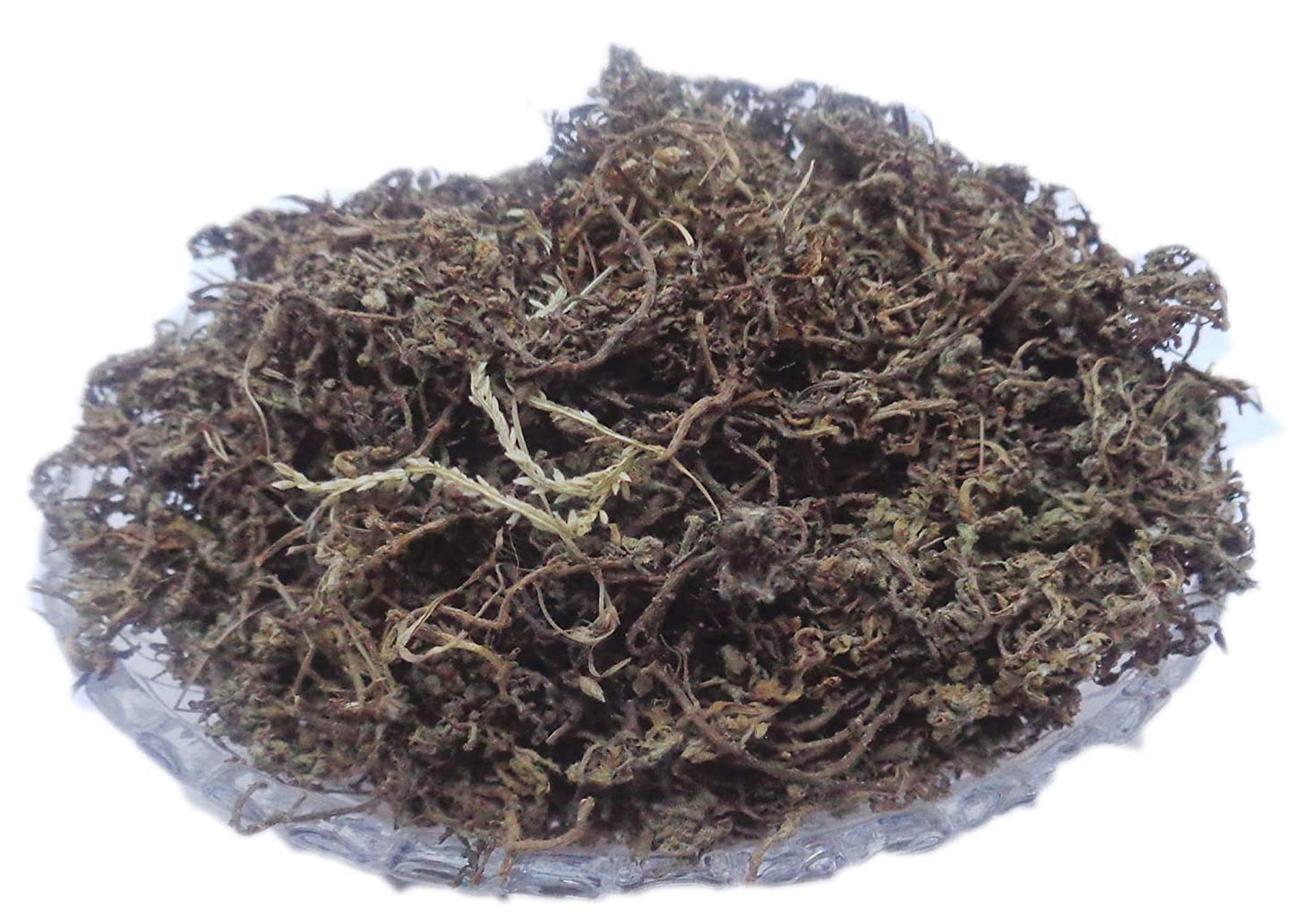 Nakchikni-Centipeda Minima-नकचिकनी-Nak Chikni-Sneeze Wort-Dregea volubilis-Raw Herbs-Jadi Booti-Single Herbs