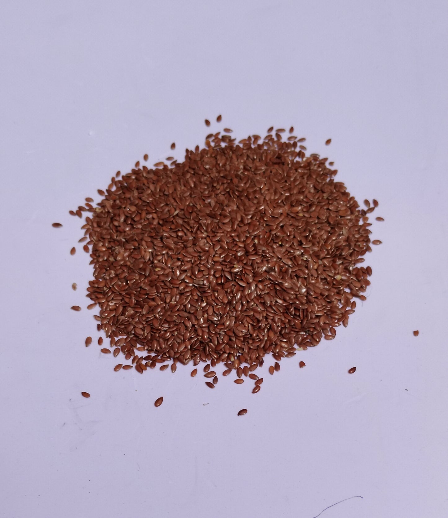 Alsi Beej-Flax Seed-Linseed-अलसी बीज-Linum Usitatissimum-Raw Herbs-Jadi Booti