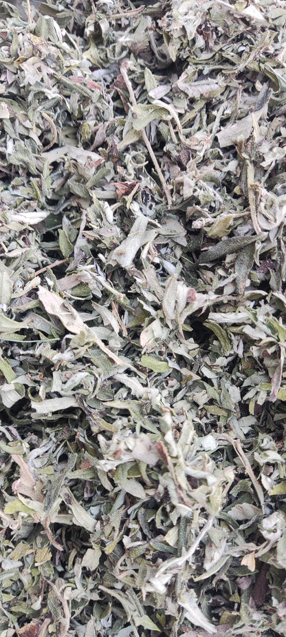 Artemisia Leaves-Mugwort Leaves-Wormwood-Artemisia absinthium-Raw herbs-Single herb-Jadi booti