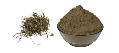 Brahmi Booti Powder-Bacopa Monnieri-Saraswati Leaves Powder-Bramhi Leaves Powder Raw Herbs Quality Products at Unbeatable Wholesale Rate Price Bulk Purchase