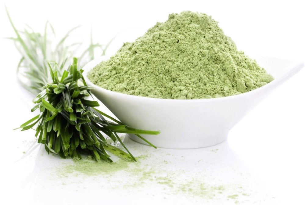 Barley Grass Powder-Hordeum Glaucum Powder-Jaun Grass Powder Raw Herbs Quality Products at Unbeatable Wholesale Rate Price Bulk Purchase