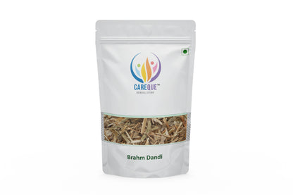 Brahm Dandi-Satyanashi-Oont Katara Dried-ब्रह्म दण्डी-Camel's Thistle-Tricholepis angustifolia Raw Herbs/Jadi Booti