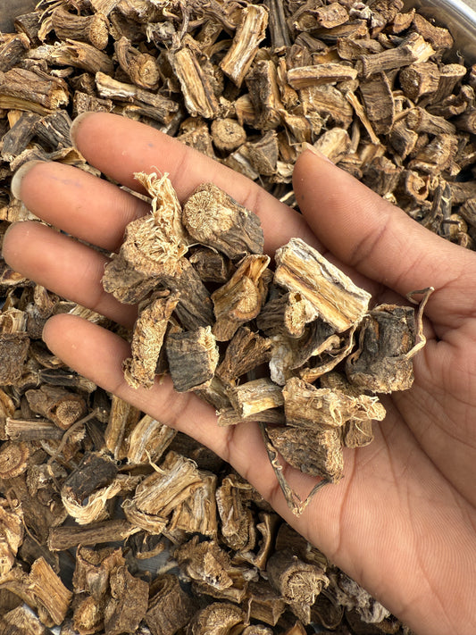Budrok Root – Natural Dried Root – Good for Skin & Natural Lifestyle – Pure Herbal Raw Form