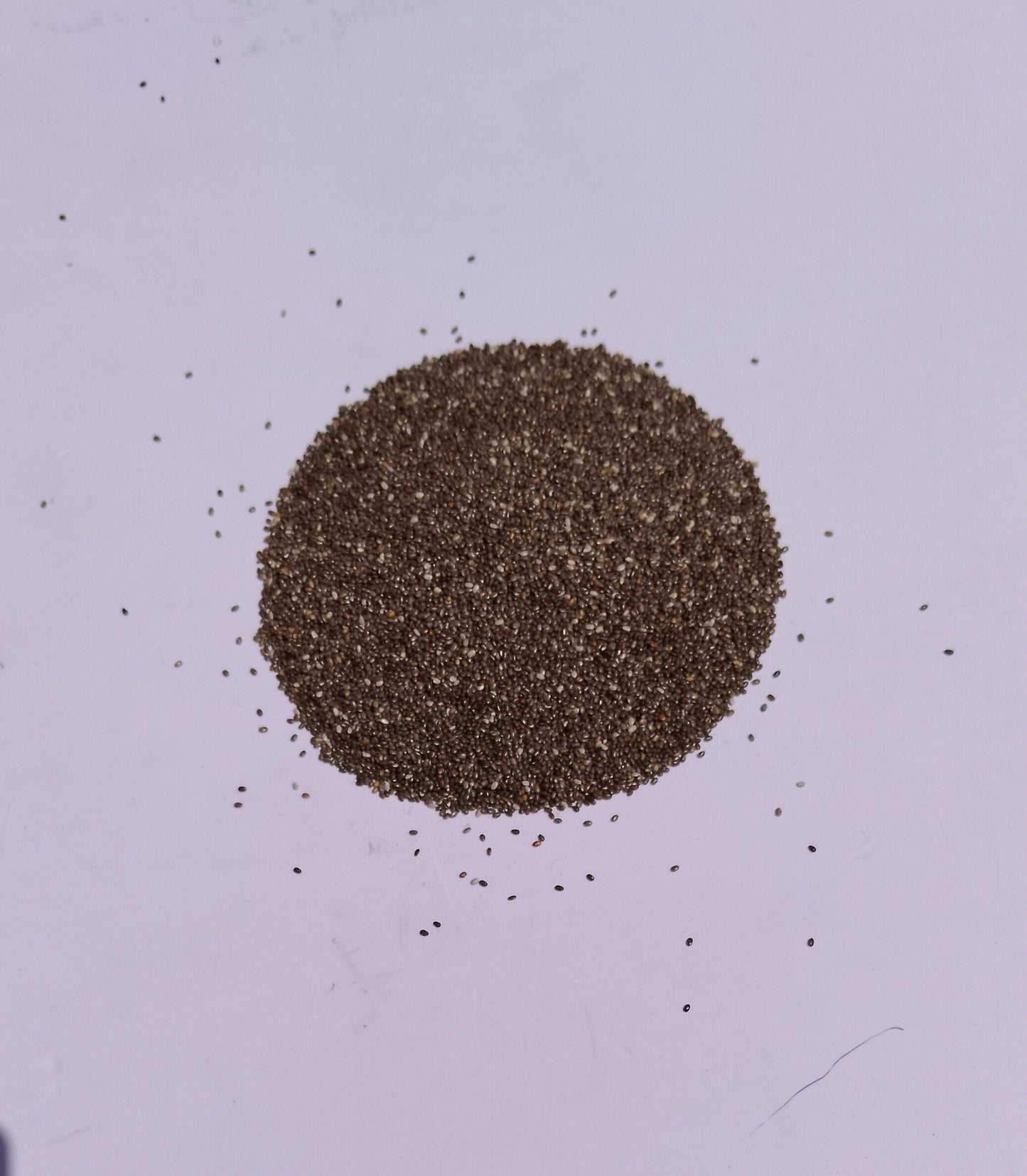 Chia Seeds-Chia Beej-चिया बीज-Tokma Dana Edible-Salvia Hispanica